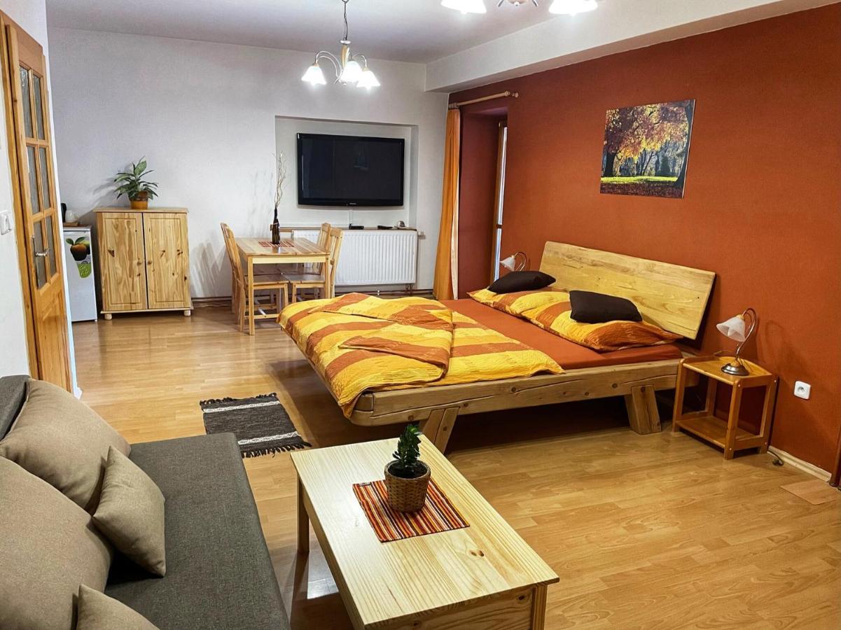 Pension U Kohoutu Horní Planá Buitenkant foto